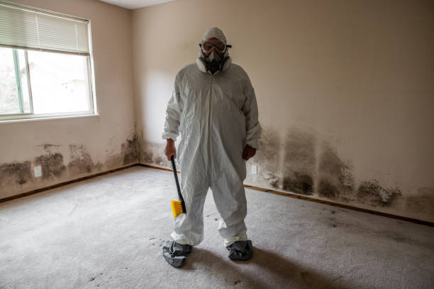 Best Bathroom Mold Remediation in Richlands, NC